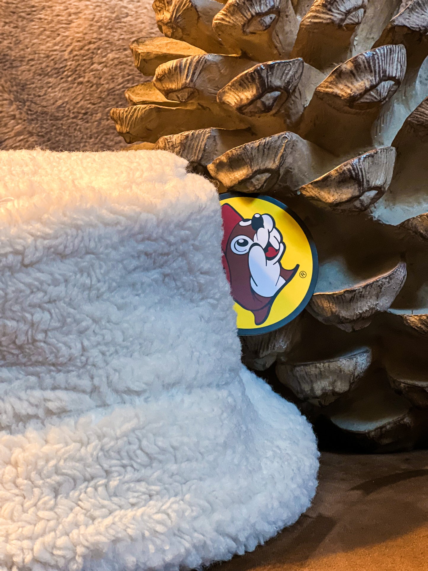 Buc-ee's Sherpa Bucket Hat, Winter Hat, Cool People, Winter Fashion